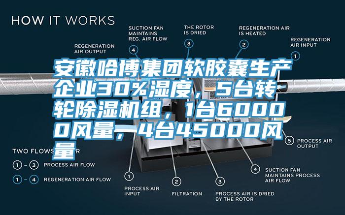 安徽哈博集團軟膠囊生產企業30%濕度，5臺轉輪除濕機組，1臺60000風量，4臺45000風量