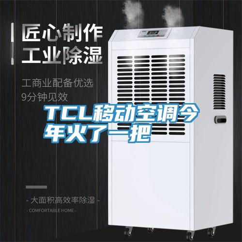 TCL移動(dòng)空調(diào)今年火了一把