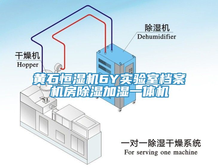 黃石恒濕機6Y實驗室檔案機房除濕加濕一體機