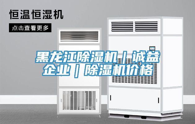 黑龍江除濕機｜誠益企業｜除濕機價格